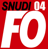 Snudi FO 04 - syndicat enseignant premier degré